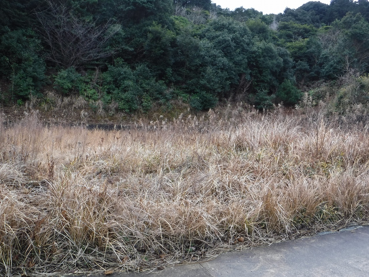 売り地右側